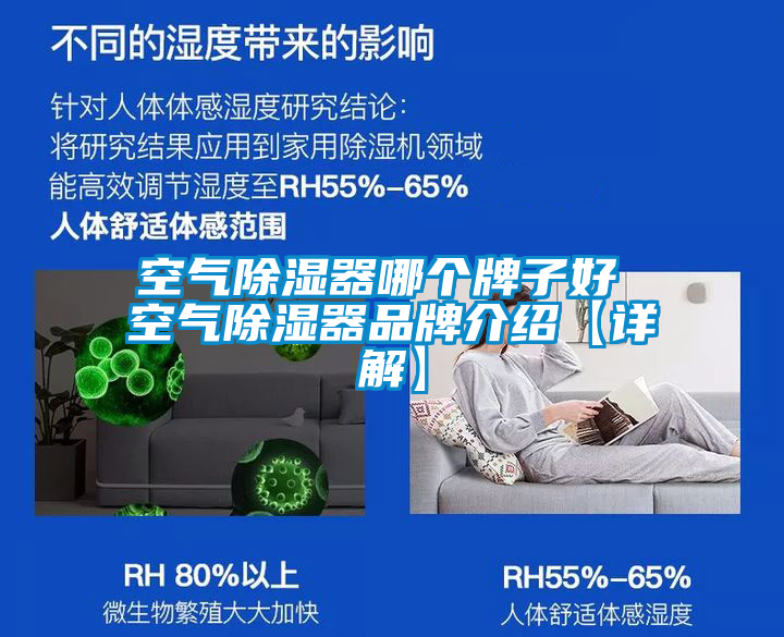 空氣除濕器哪個牌子好 空氣除濕器品牌介紹【詳解】