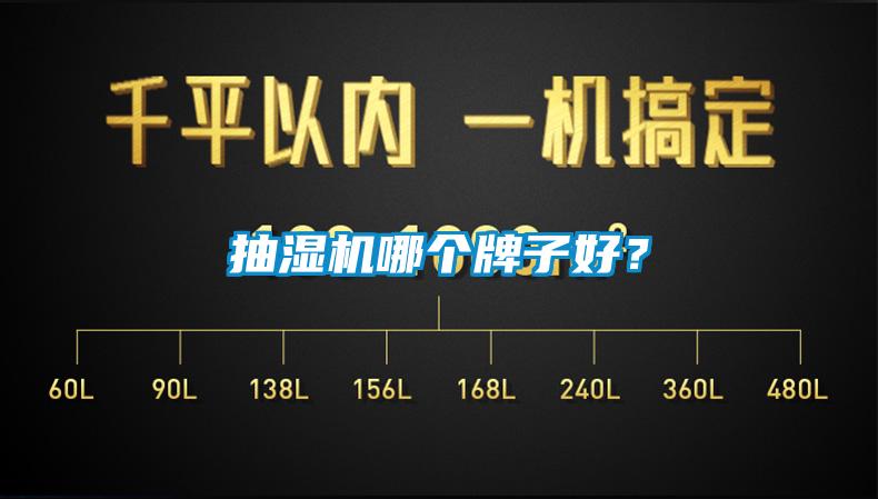 抽濕機哪個牌子好？