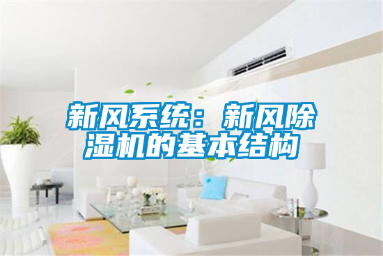 新風係統：新風91视频链接下载的基本結構