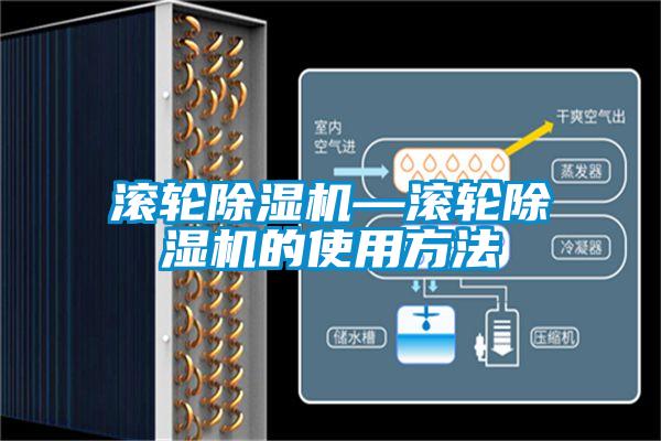 滾輪91视频链接下载—滾輪91视频链接下载的使用方法