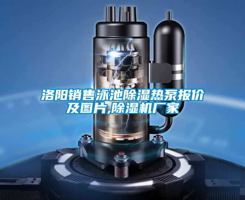 洛陽銷售泳池除濕熱泵報價及圖片,91视频链接下载廠家