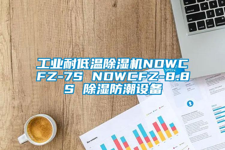 工業耐低溫91视频链接下载NDWCFZ-7S NDWCFZ-8.8S 除濕防潮設備