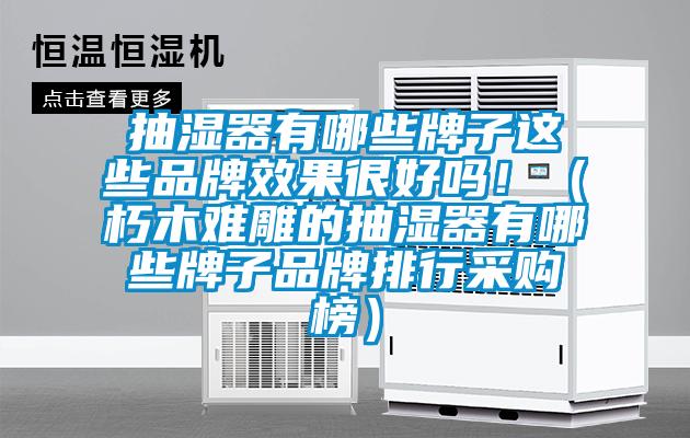 抽濕器有哪些牌子這些品牌效果很好嗎！（朽木難雕的抽濕器有哪些牌子品牌排行采購榜）