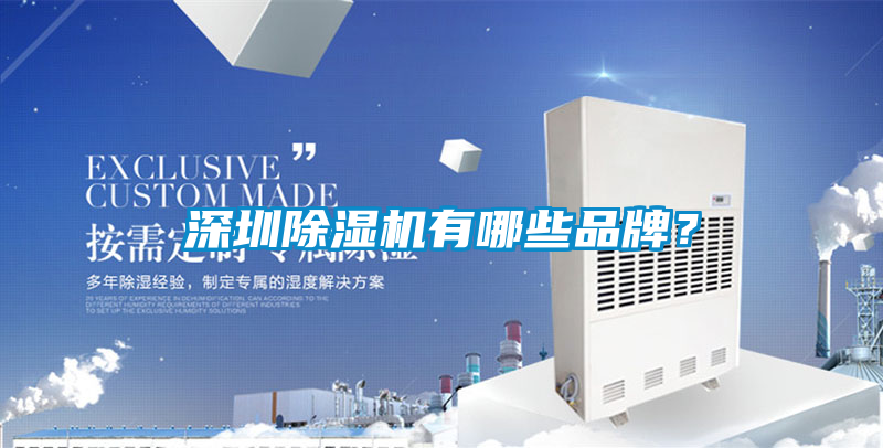 深圳91视频链接下载有哪些品牌？