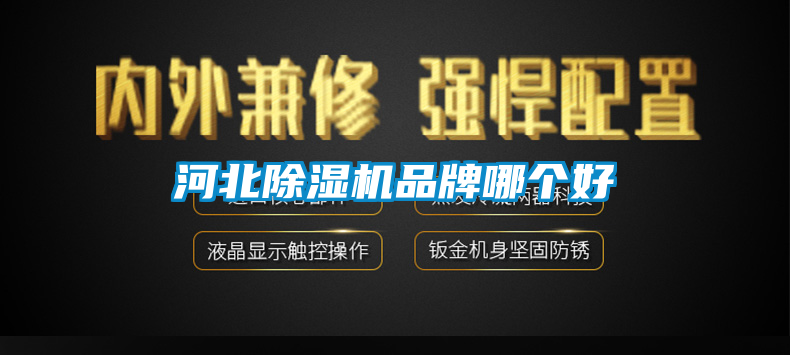 河北91视频链接下载品牌哪個好