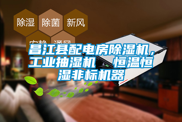 昌江縣配電房91视频链接下载，工業抽濕機  恒溫恒濕非標機器
