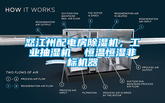 怒江州配電房91视频链接下载，工業抽濕機  恒溫恒濕非標機器