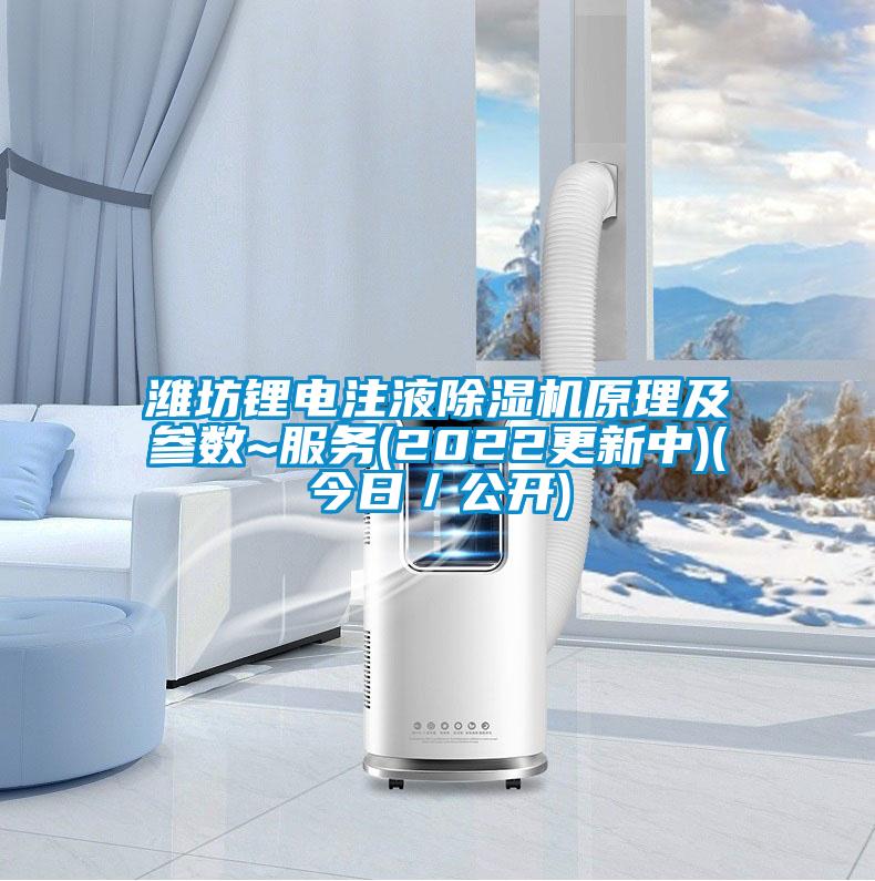 濰坊鋰電注液91视频链接下载原理及參數~服務(2022更新中)(今日/公開)