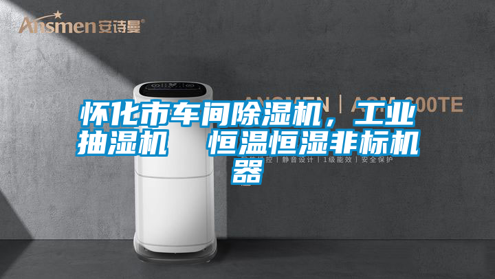 懷化市車間91视频链接下载，工業抽濕機  恒溫恒濕非標機器