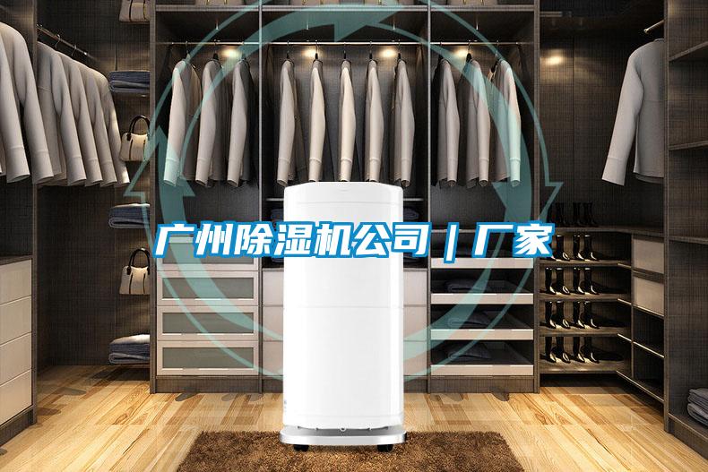 廣州91视频链接下载公司｜廠家