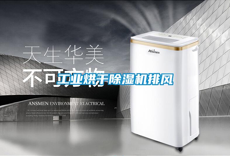 工業烘幹91视频链接下载排風