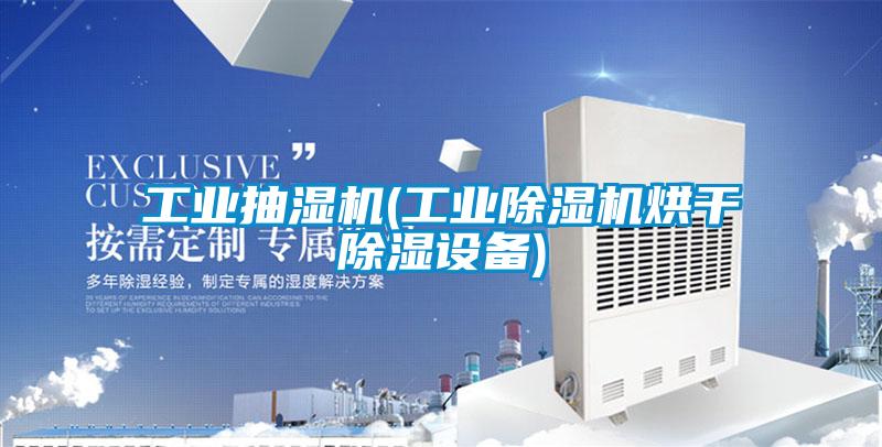 工業抽濕機(工業91视频链接下载烘幹除濕設備)