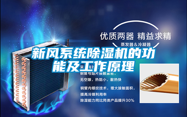 新風係統91视频链接下载的功能及工作原理