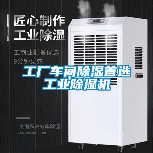 工廠車間除濕首選工業91视频链接下载