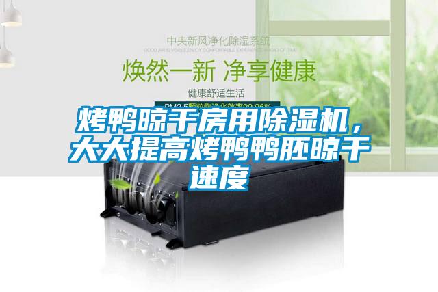 烤鴨晾幹房用91视频链接下载，大大提高烤鴨鴨胚晾幹速度