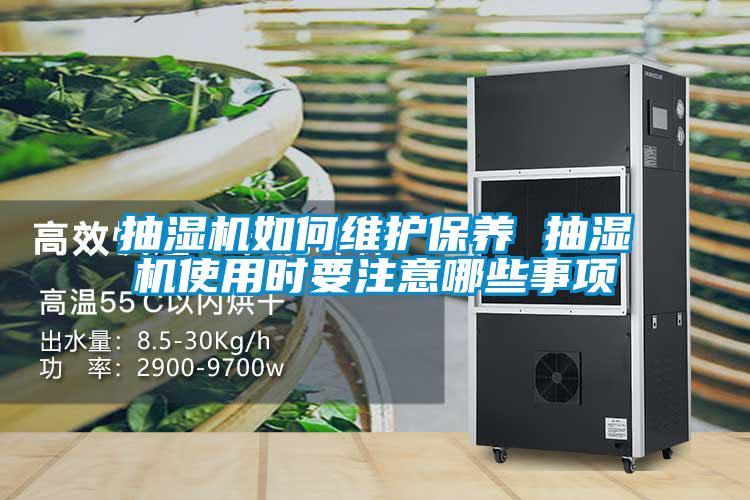 抽濕機如何維護保養 抽濕機使用時要注意哪些事項