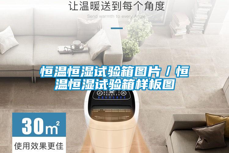 恒溫恒濕試驗箱圖片/恒溫恒濕試驗箱樣板圖