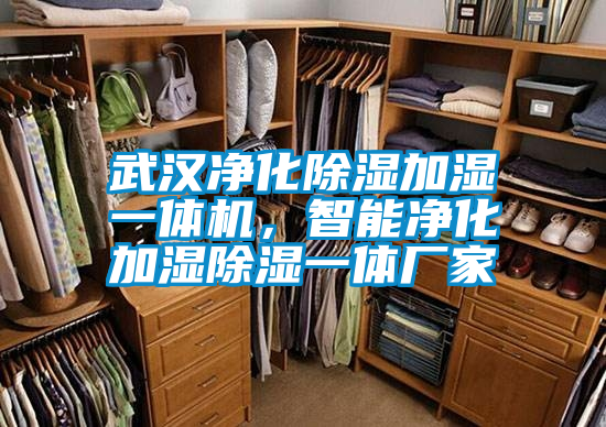 武漢淨化除濕加濕一體機，智能淨化加濕除濕一體廠家