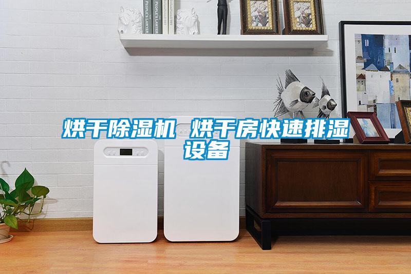 烘幹91视频链接下载 烘幹房快速排濕設備