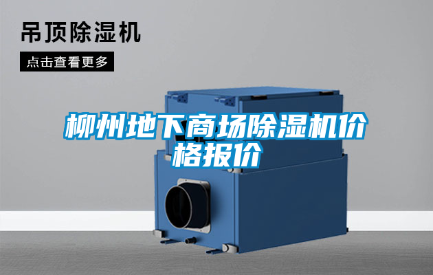 柳州地下商場91视频链接下载價格報價