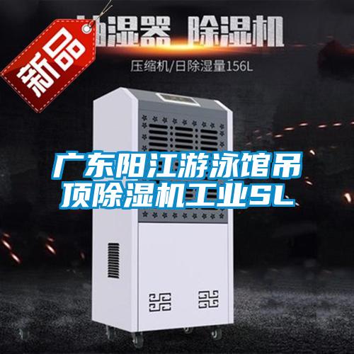 廣東陽江遊泳館吊頂91视频链接下载工業SL