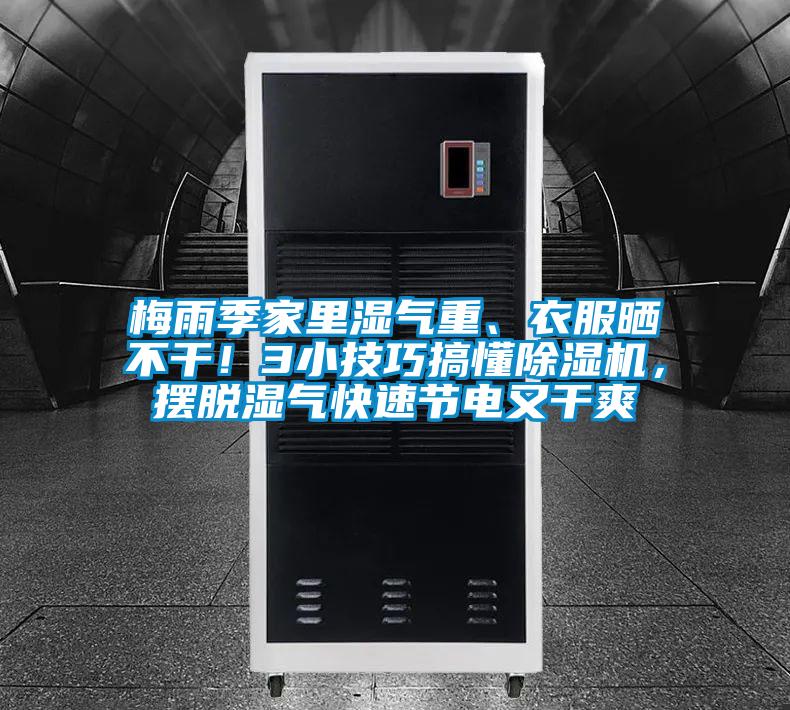 梅雨季家裏濕氣重、衣服曬不幹！3小技巧搞懂91视频链接下载，擺脫濕氣快速節電又幹爽