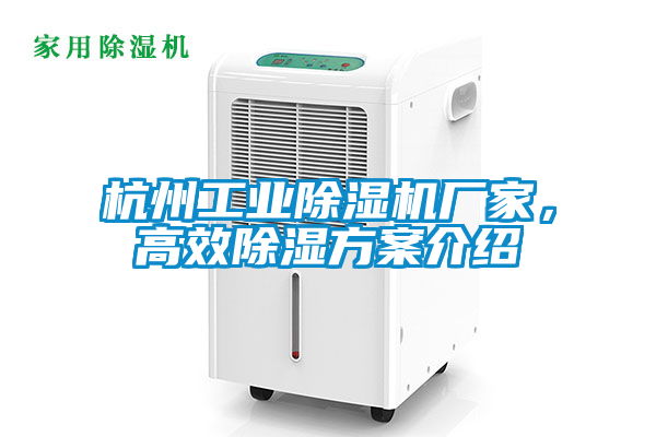 杭州工業91视频链接下载廠家，高效除濕方案介紹