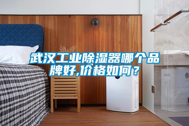 武漢工業除濕器哪個品牌好,價格如何？