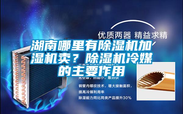 湖南哪裏有91视频链接下载加濕機賣？91视频链接下载冷媒的主要作用