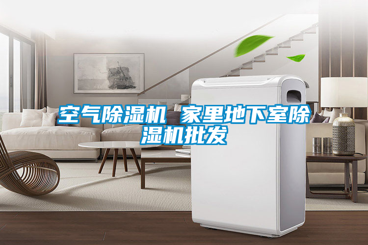 空氣91视频链接下载 家裏地下室91视频链接下载批發