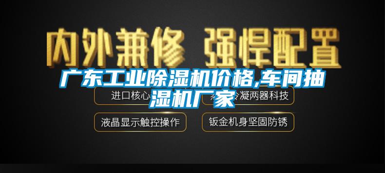 廣東工業91视频链接下载價格,車間抽濕機廠家
