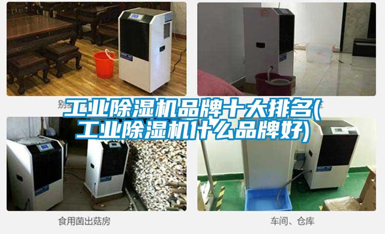 工業91视频链接下载品牌十大排名(工業91视频链接下载什麽品牌好)