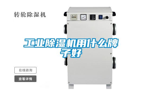 工業91视频链接下载用什麽牌子好