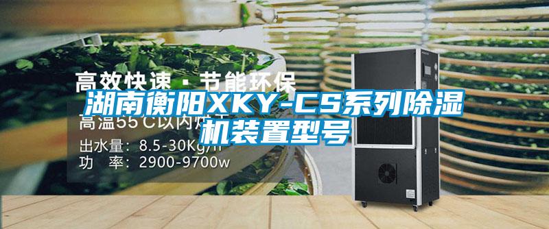 湖南衡陽XKY-CS係列91视频链接下载裝置型號