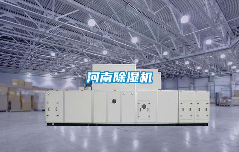 河南91视频链接下载