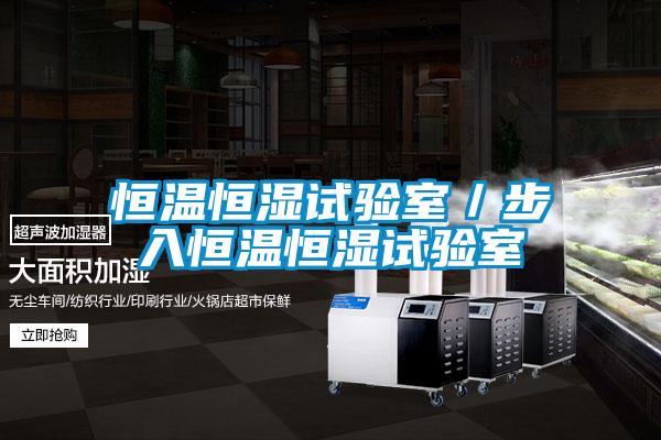 恒溫恒濕試驗室/步入恒溫恒濕試驗室