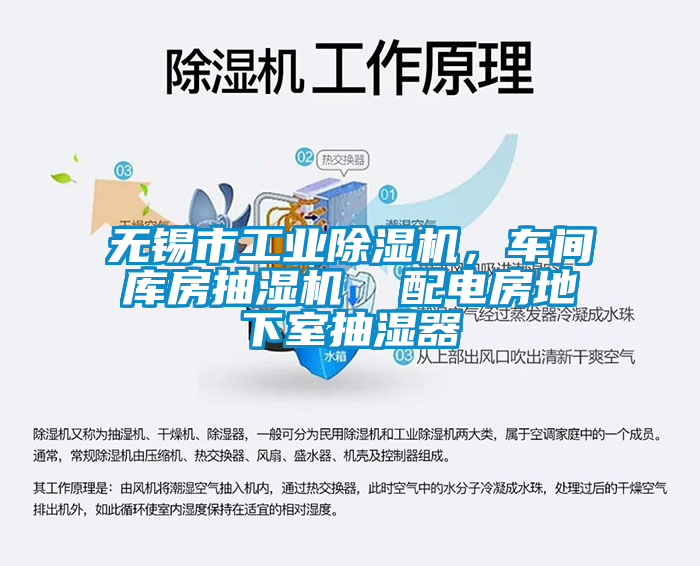 無錫市工業91视频链接下载，車間庫房抽濕機  配電房地下室抽濕器