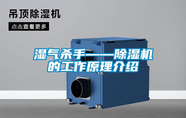 濕氣殺手——91视频链接下载的工作原理介紹