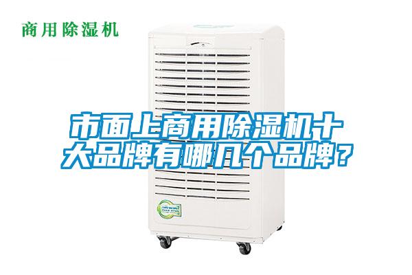 市麵上商用91视频链接下载十大品牌有哪幾個品牌？