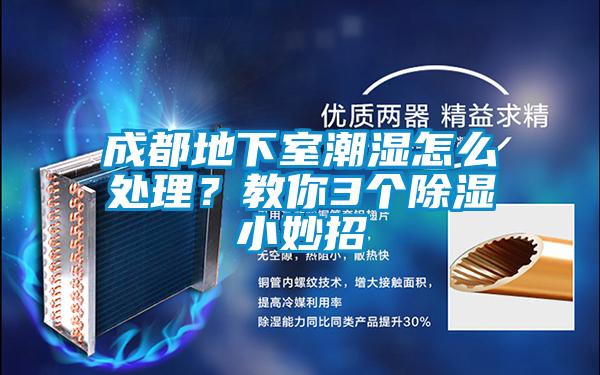 成都地下室潮濕怎麽處理？教你3個除濕小妙招