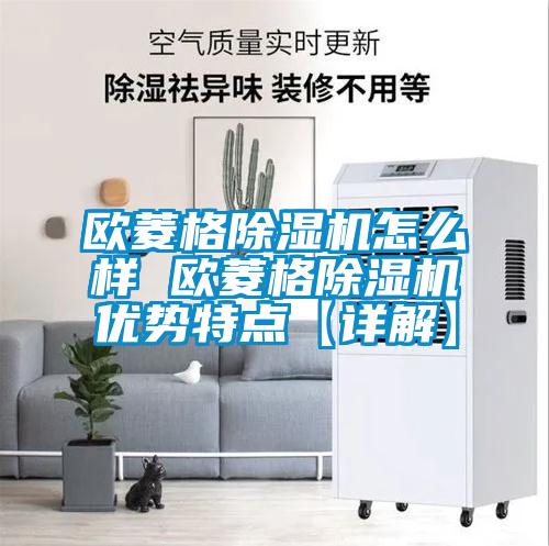 歐菱格91视频链接下载怎麽樣 歐菱格91视频链接下载優勢特點【詳解】