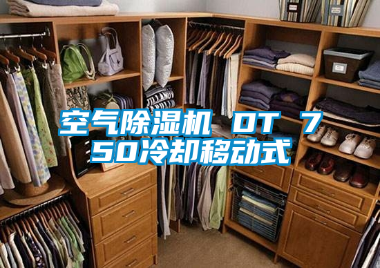 空氣91视频链接下载 DT 750冷卻移動式