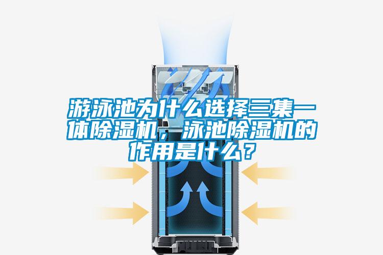 遊泳池為什麽選擇三集一體91视频链接下载，泳池91视频链接下载的作用是什麽？