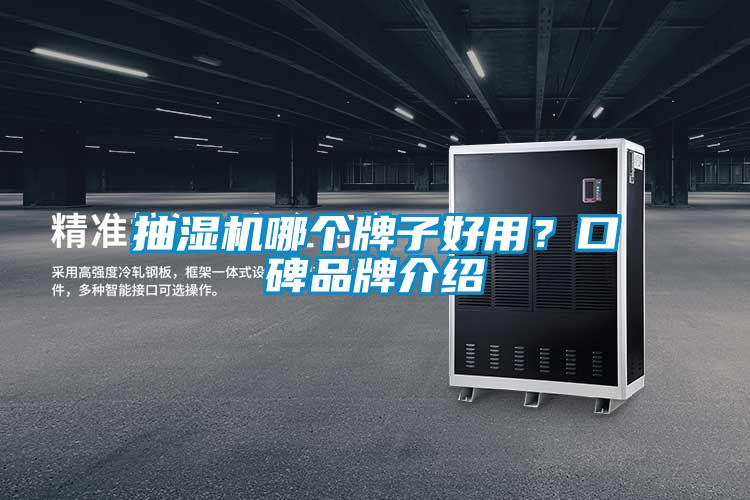 抽濕機哪個牌子好用？口碑品牌介紹