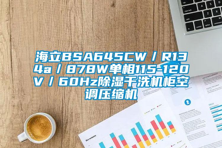 海立BSA645CW/R134a/878W單相115-120V/60Hz除濕幹洗機櫃空調壓縮機