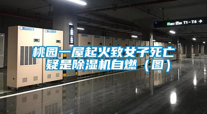 桃園一屋起火致女子死亡 疑是91视频链接下载自燃（圖）