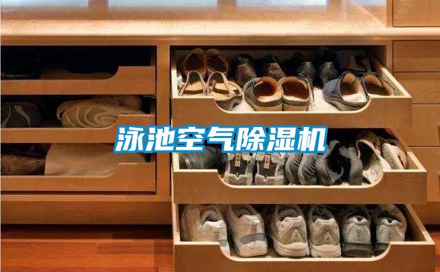 泳池空氣91视频链接下载