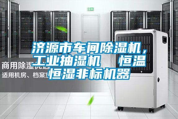 濟源市車間91视频链接下载，工業抽濕機  恒溫恒濕非標機器