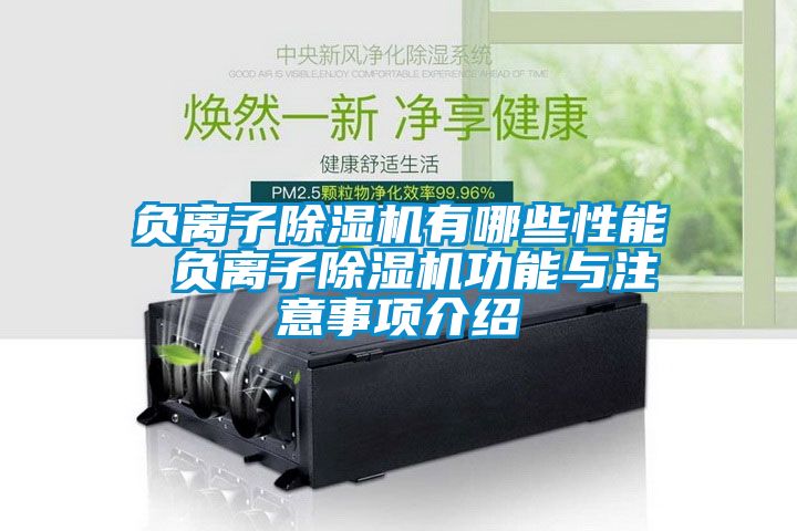 負離子91视频链接下载有哪些性能 負離子91视频链接下载功能與注意事項介紹