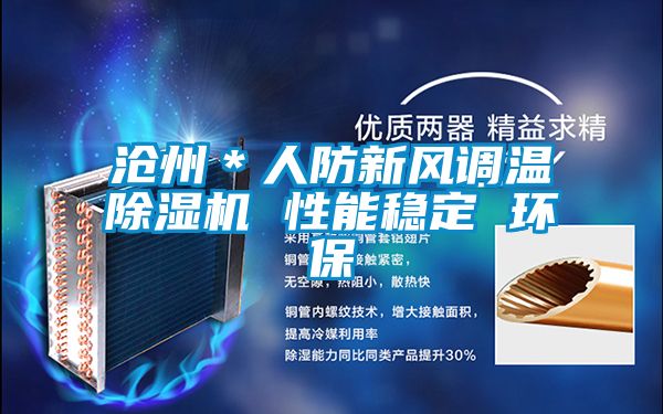 滄州*人防新風調溫91视频链接下载 性能穩定 環保